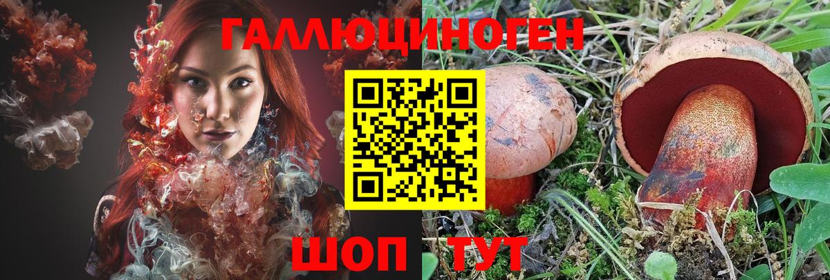 Галлюциногенные грибы Cubensis Сатка